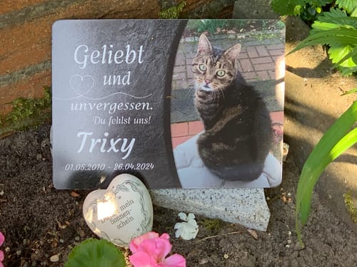 Customer photo review of Katzen Gedenktafel mit Foto & Spruch (UV- & Wetterfest)