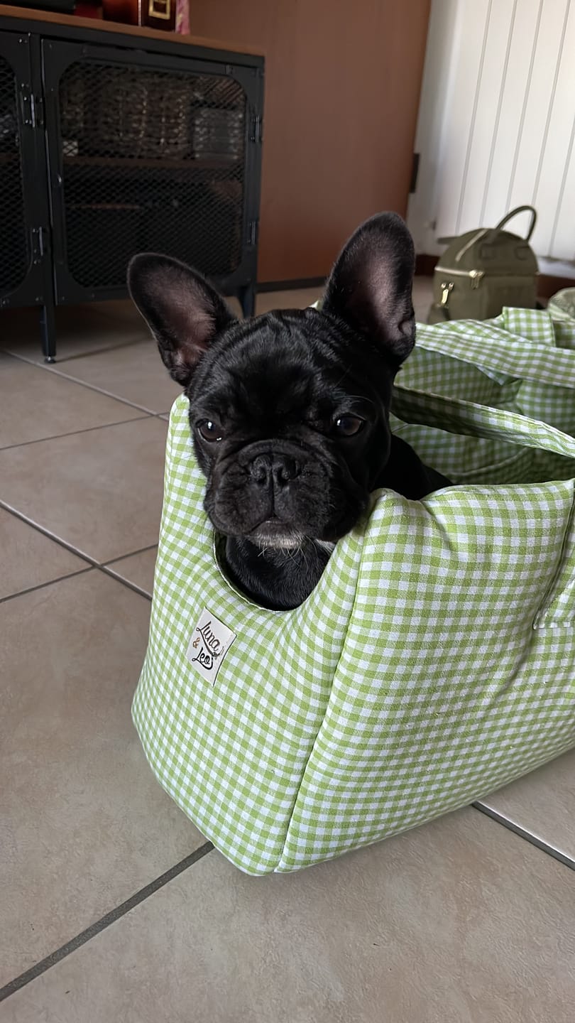 Customer photo review of Trasportino Cotone Vichy Verde Chiaro