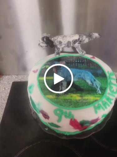 Customer video review of 15 cm Round Custom Edible Icing Image