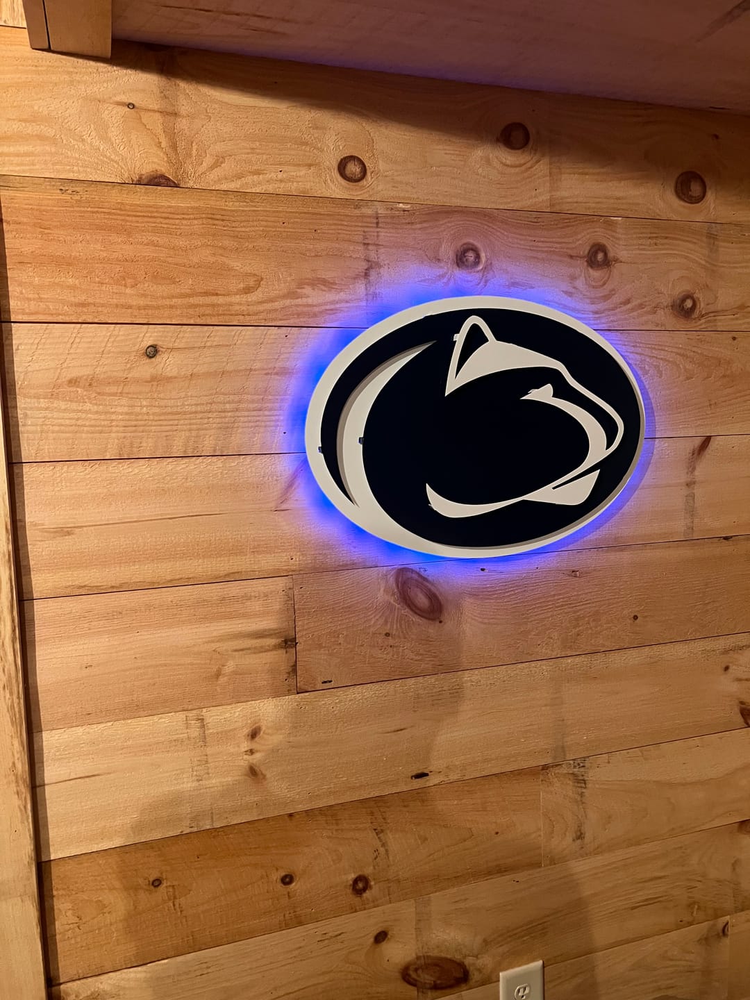 Customer photo review of Penn State Nittany Lions 3D Metal Wall Art