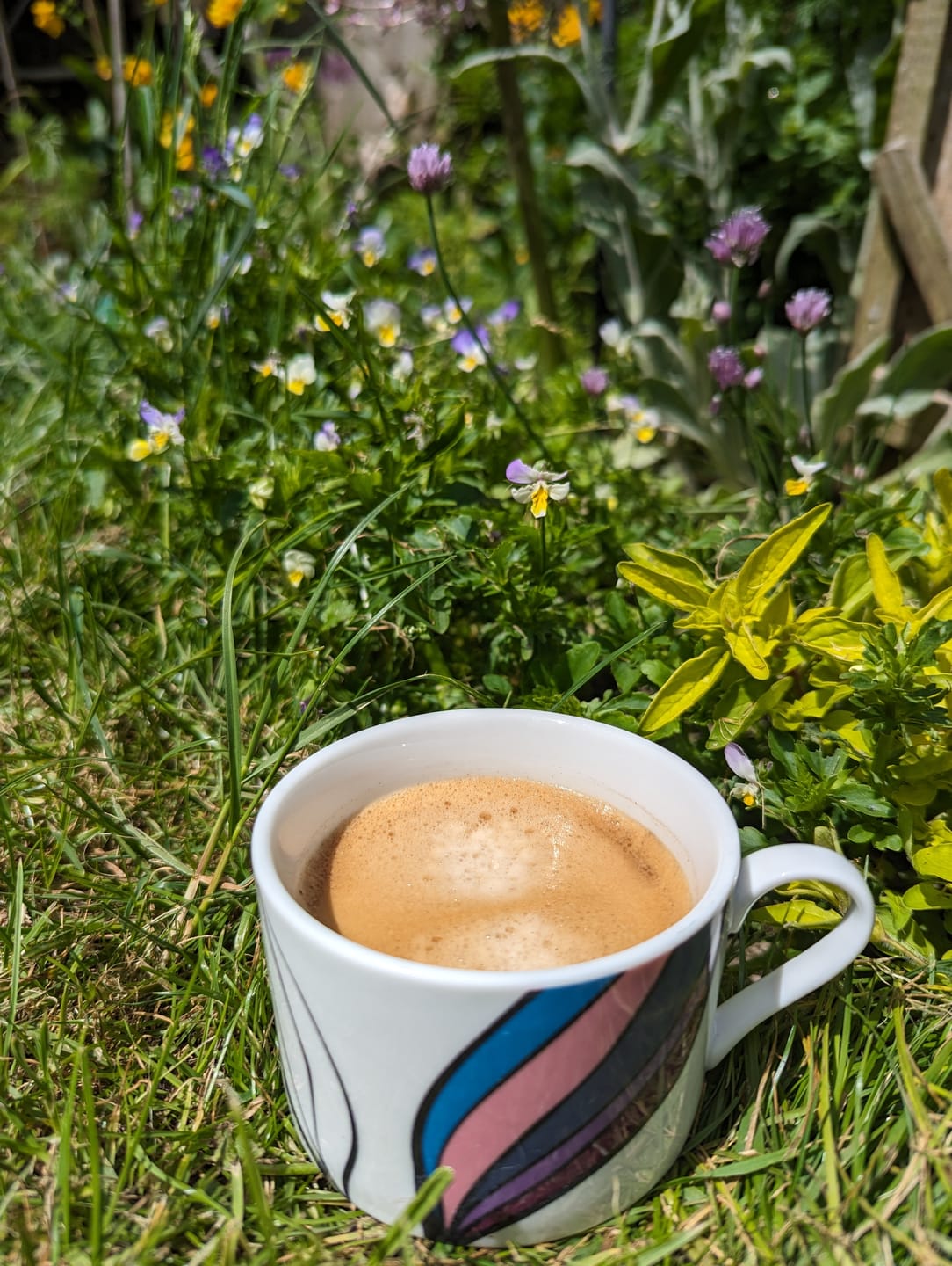 Customer photo review of Dark Roast Fairtrade Organic Coffee Beans and Ground - 200g, 500g, 1kg