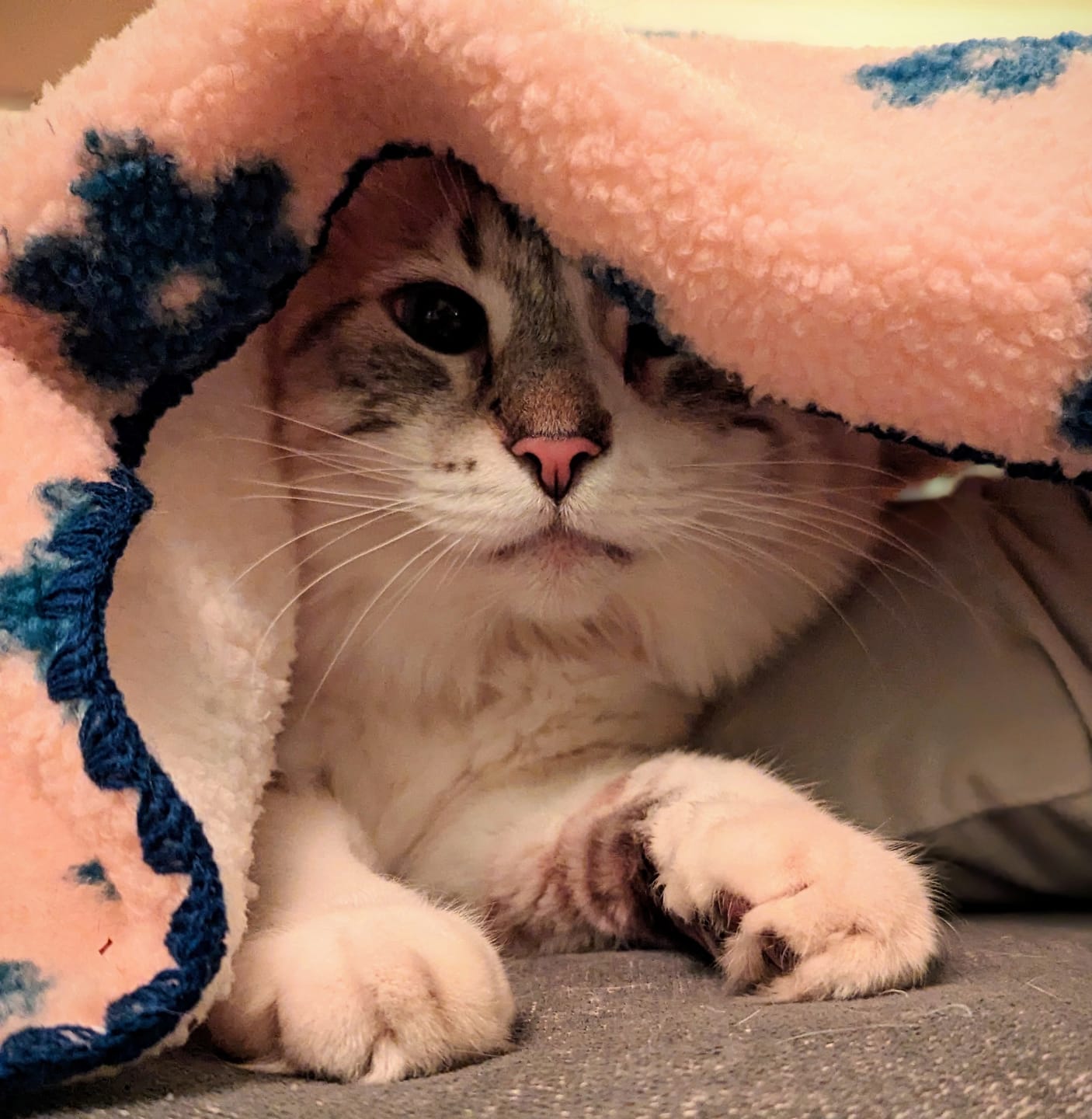 Customer photo review of Little Summer Blanket