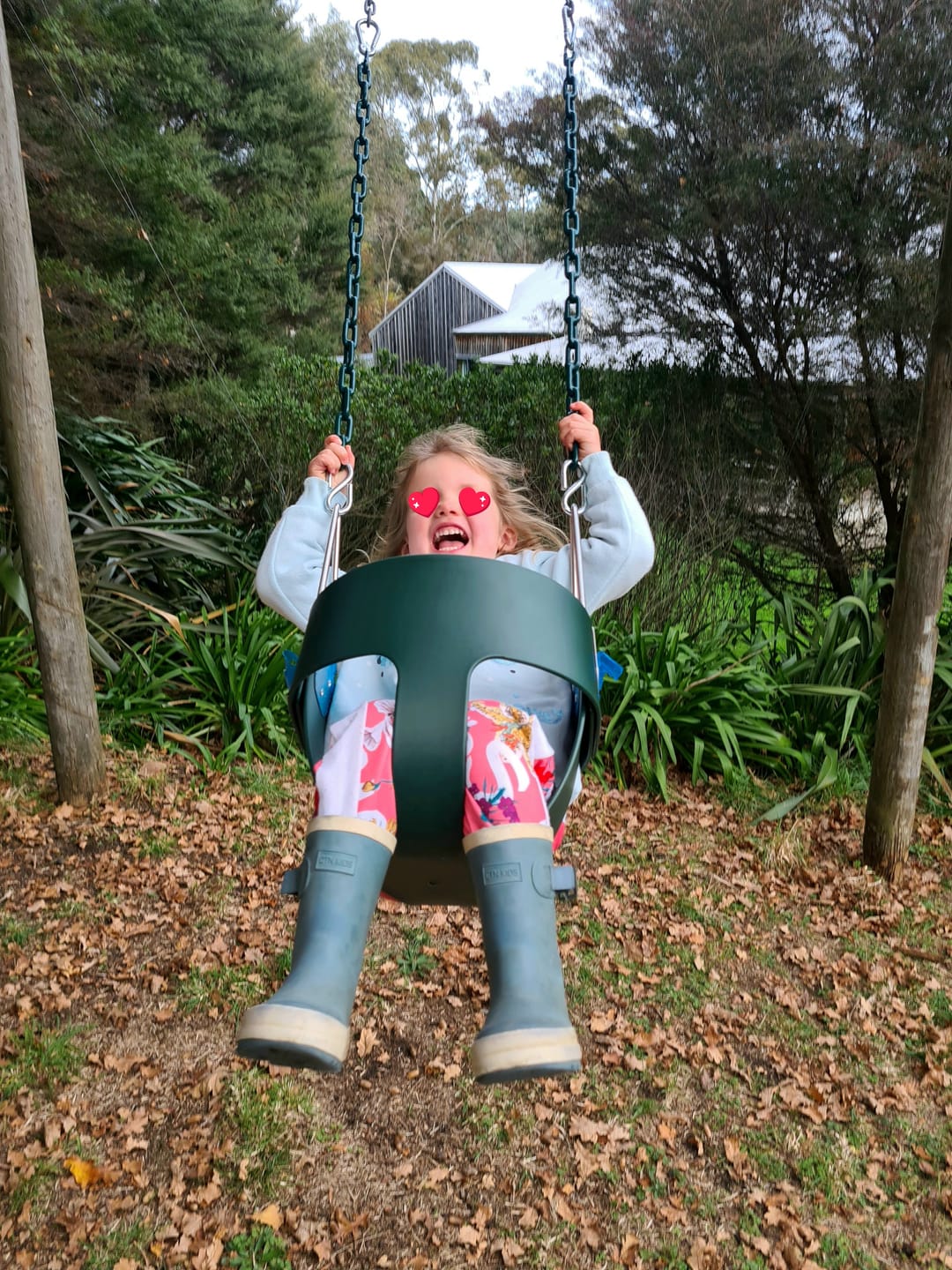 Customer photo review of Birdie Bucket Swing Seat