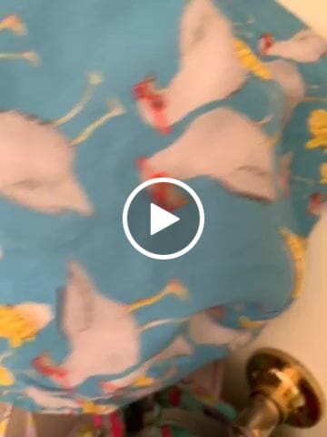 Customer video review of Seagulls and Chips Beach Hat