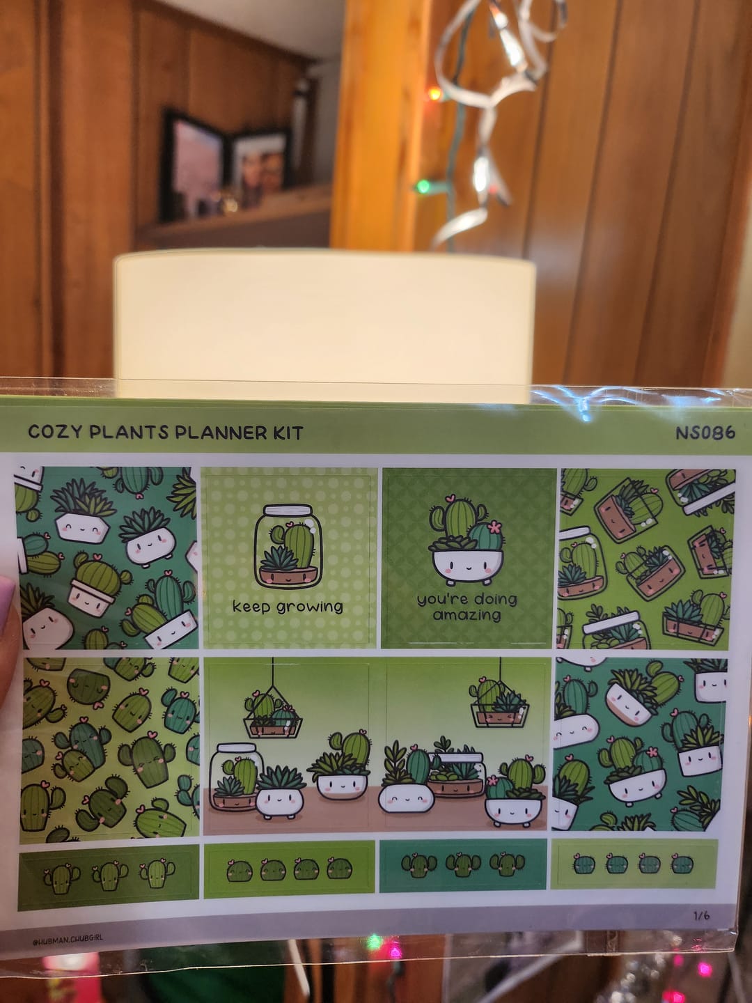 Customer photo review of Cozy Plants Planner Kit (Set of 6)