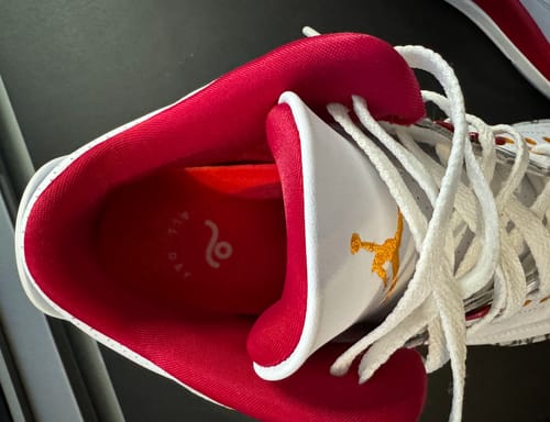 Customer photo review of Move All Day Comfort Casual Insoles