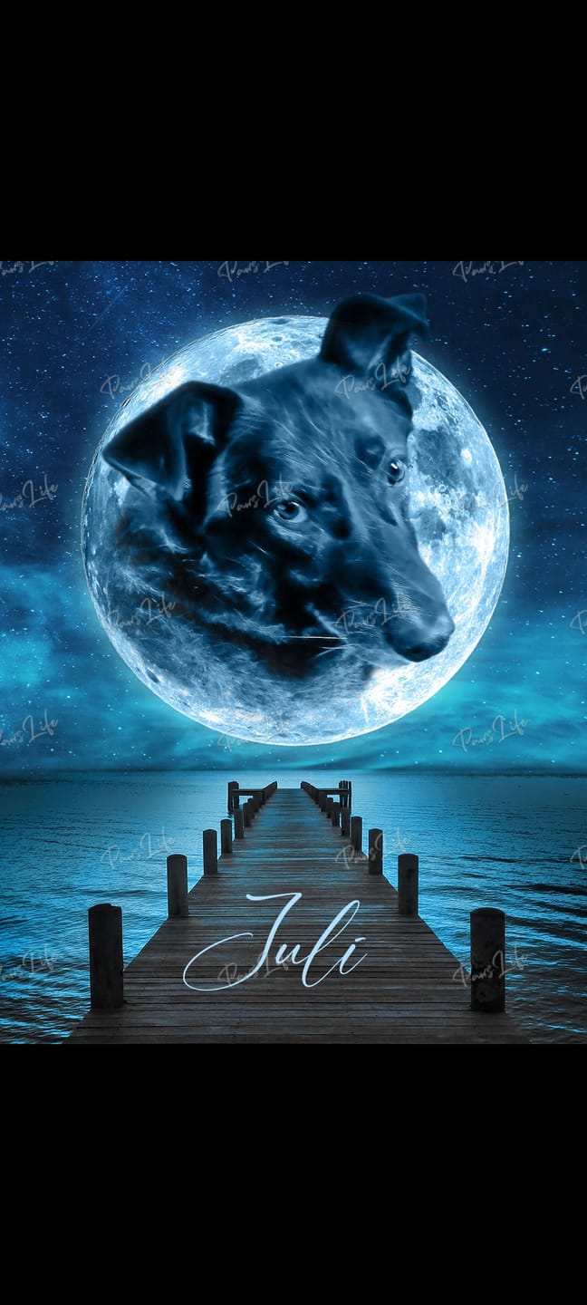 Customer photo review of Personalisiertes Portrait - Mond Stil