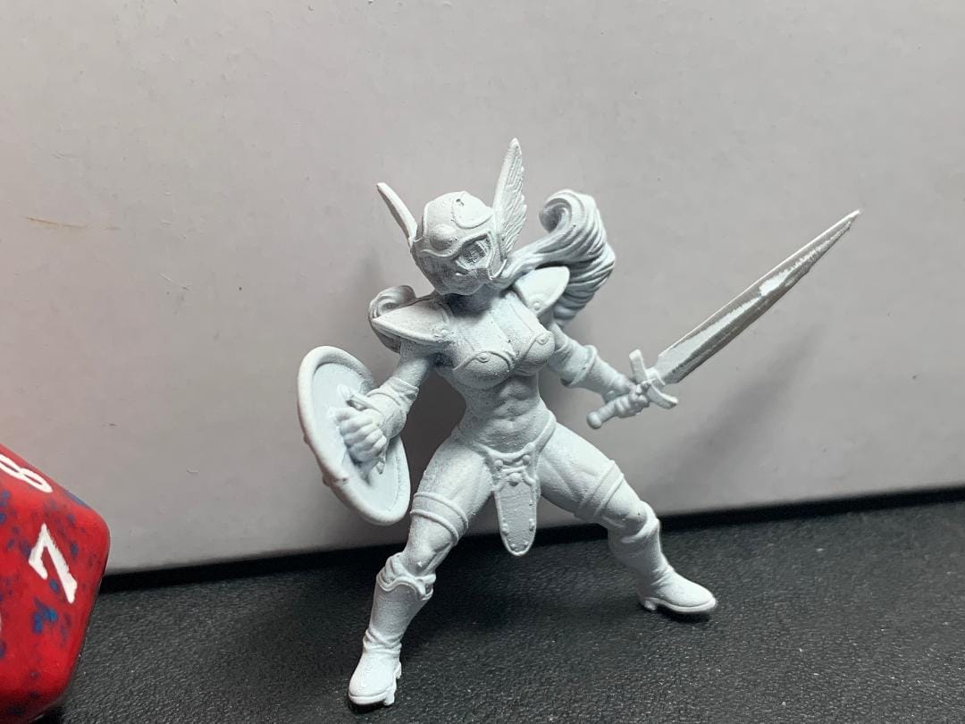 Customer photo review of Senshi Female Warrior