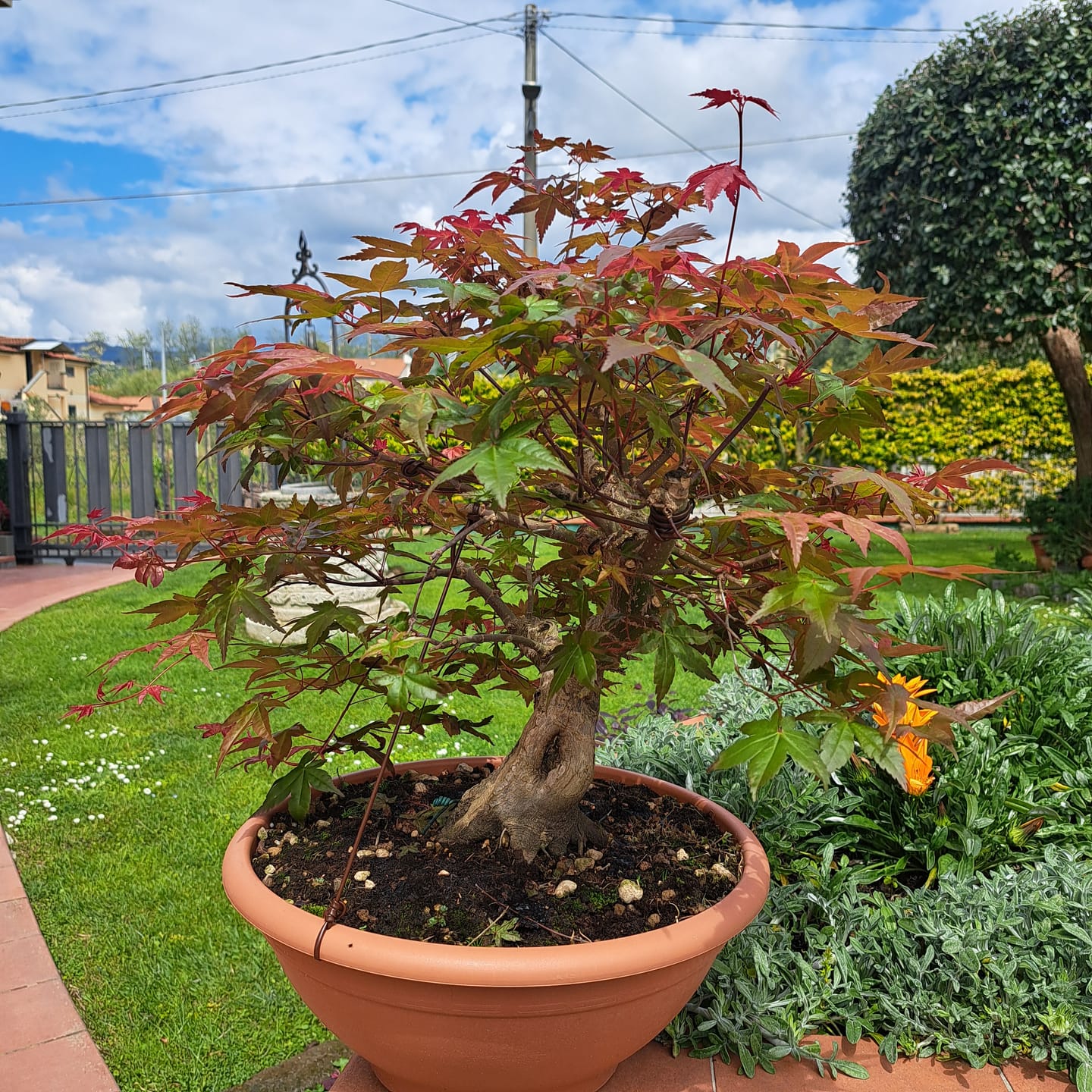 Customer photo review of TOTAL FORCE CB® (AFIDI, COCCINIGLIA, RAGNETTO ROSSO, MAL BIANCO)