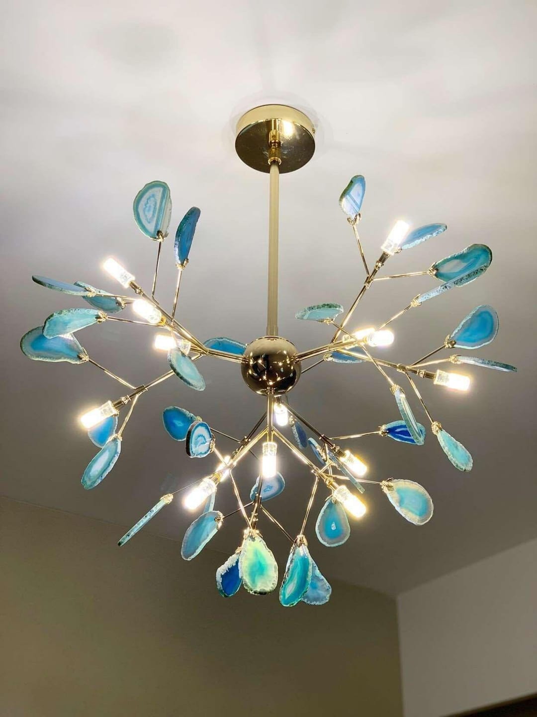 Customer photo review of Heracleum Colorful Agate Branch Chandelier