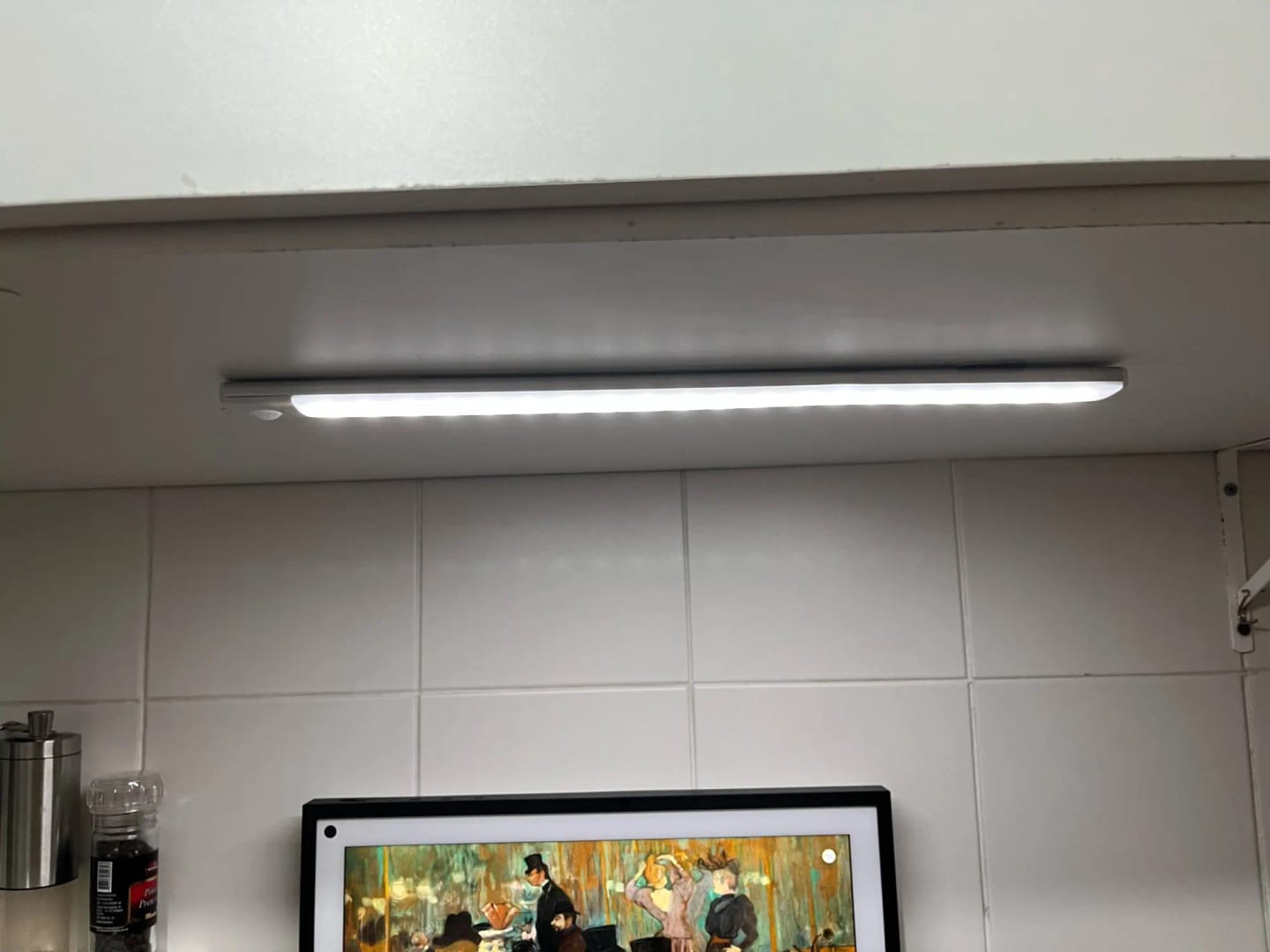 Customer photo review of GardenBrite™ Everywhere Light