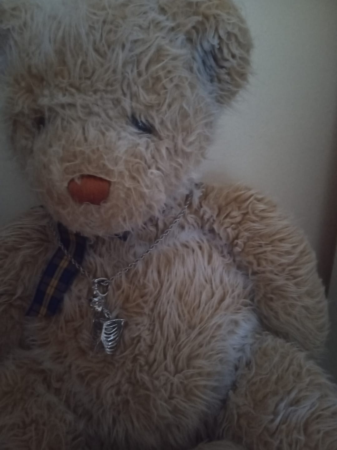Customer photo review of TRAPPED INSIDE PENDANT