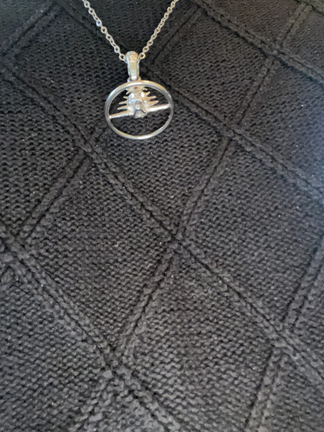 Customer photo review of ORBITUARY PENDANT