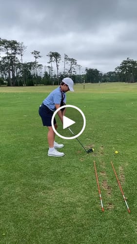 Customer video review of Smart Ball 2-Pack