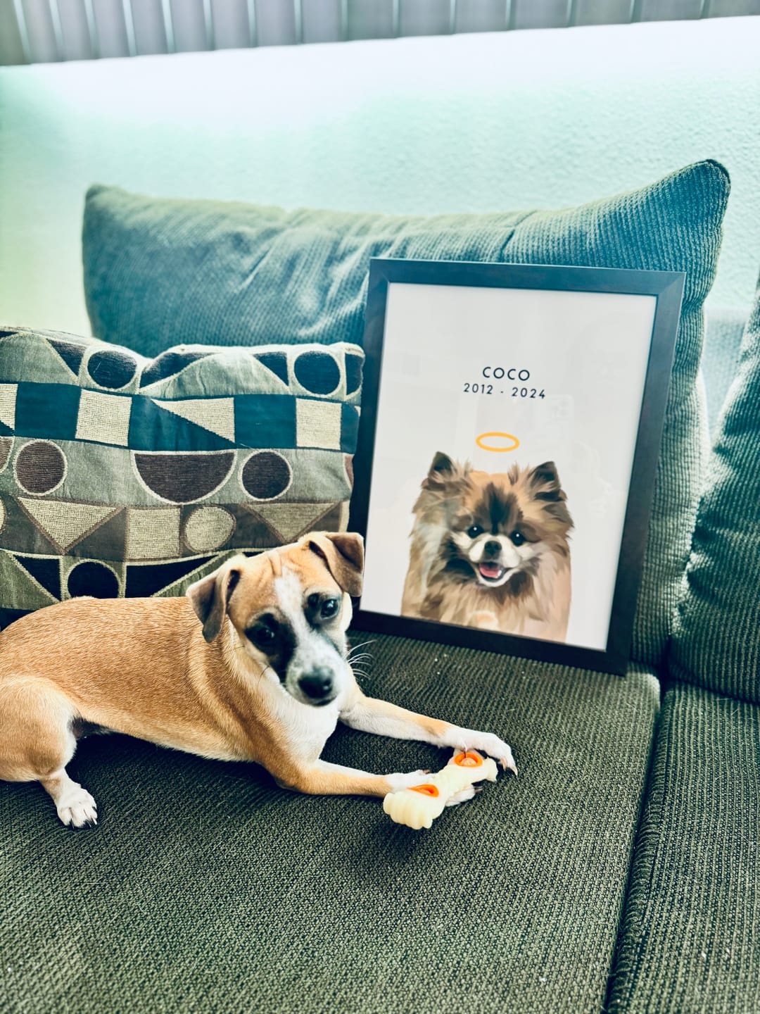 Customer photo review of Custom Memorial Pet Portrait w/ Halo