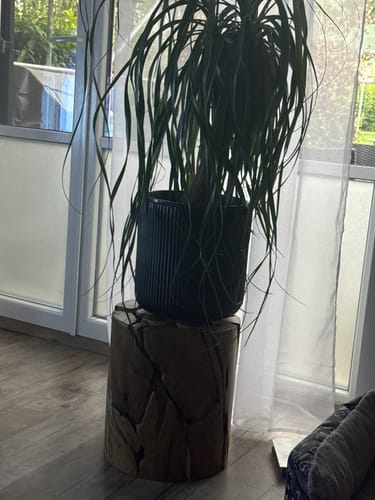 Customer photo review of Teak Holz Säule XILON rund