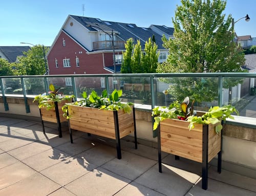Customer photo review of 18" x 48" Raised Garden Bed