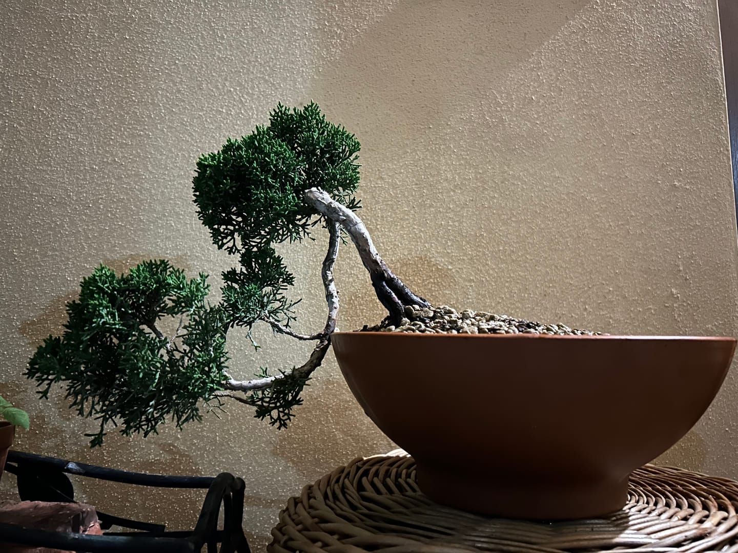 Customer photo review of TIGER CB® (substrato premium ad alte prestazioni)