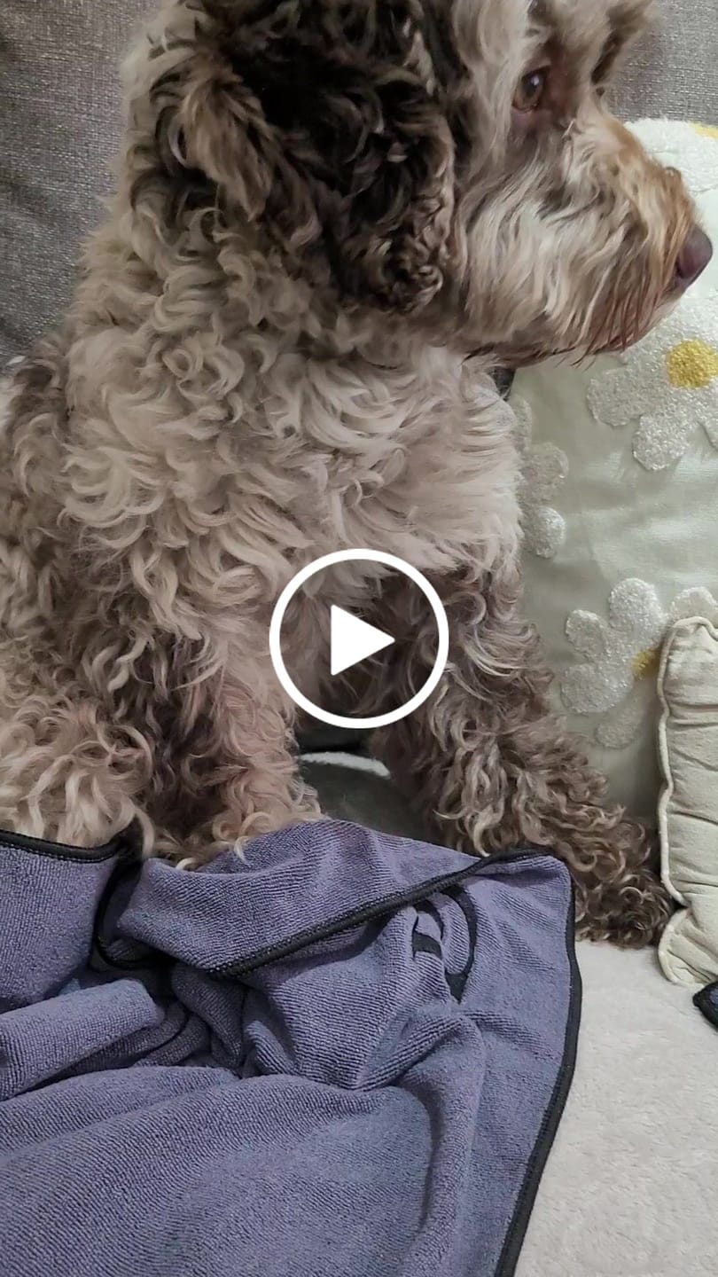 Customer video review of Luxury Dog Paw Towels