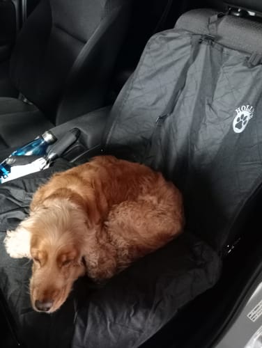 Customer photo review of Car Seat Cover