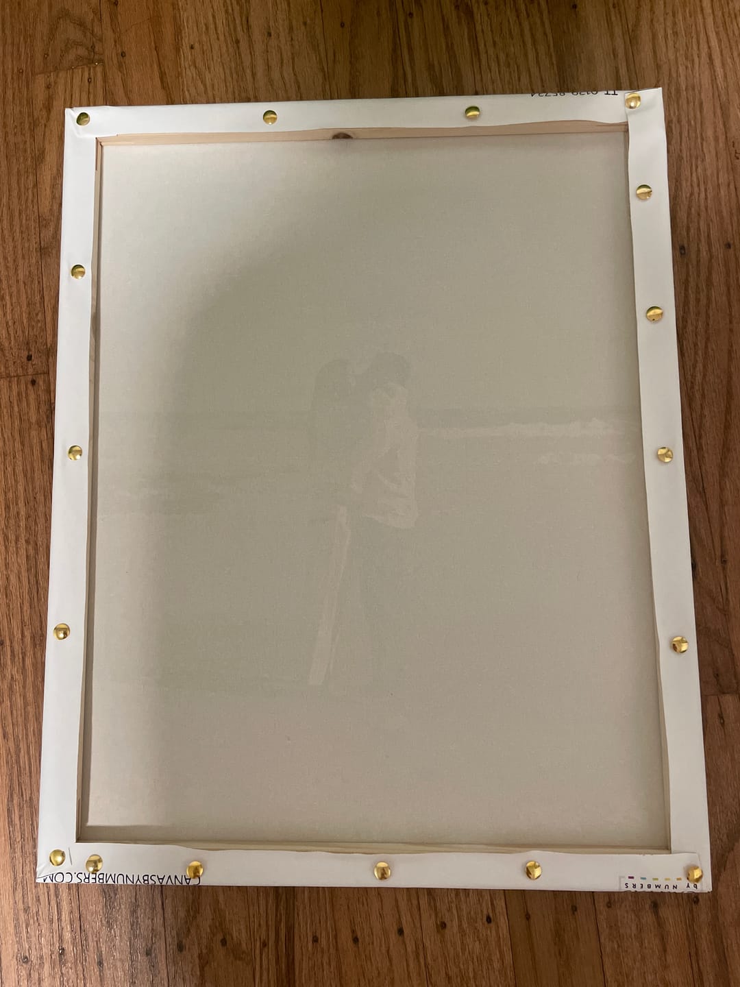 Customer photo review of DIY Pine Wood Frame for Paint by Numbers