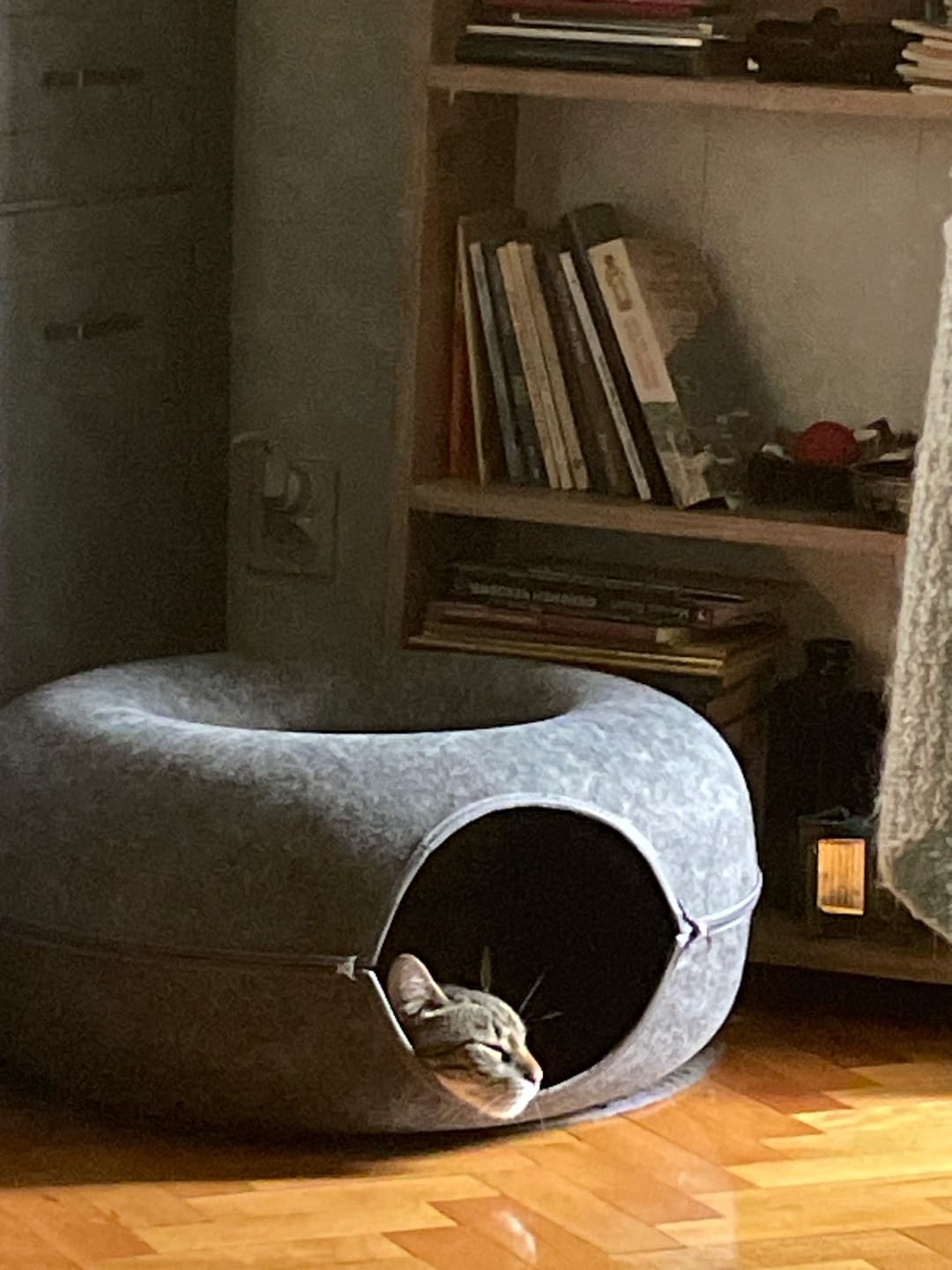 Customer photo review of Tunel Krevet za Mačke