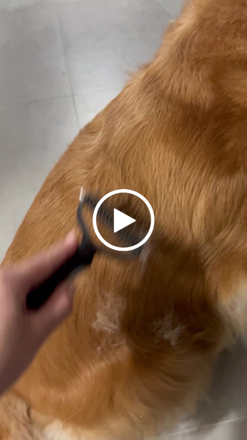 Customer video review of Cepillo Cortador de Nudos de Pelo para Mascotas Milgenial