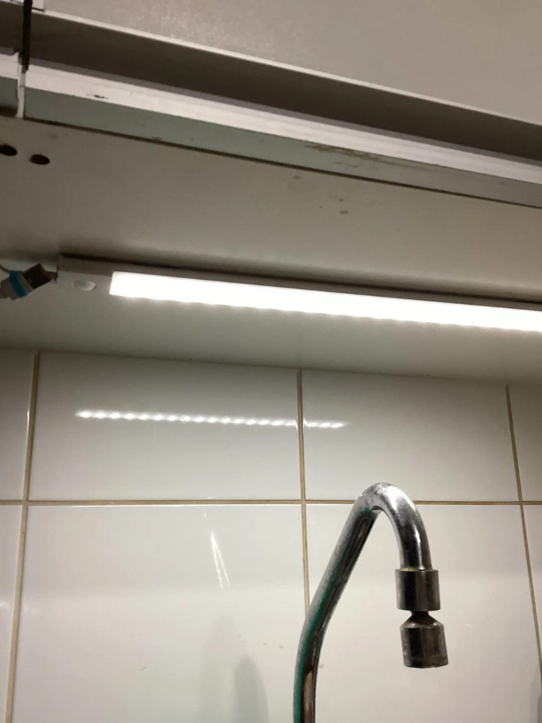 Customer photo review of GardenBrite™ Everywhere Light