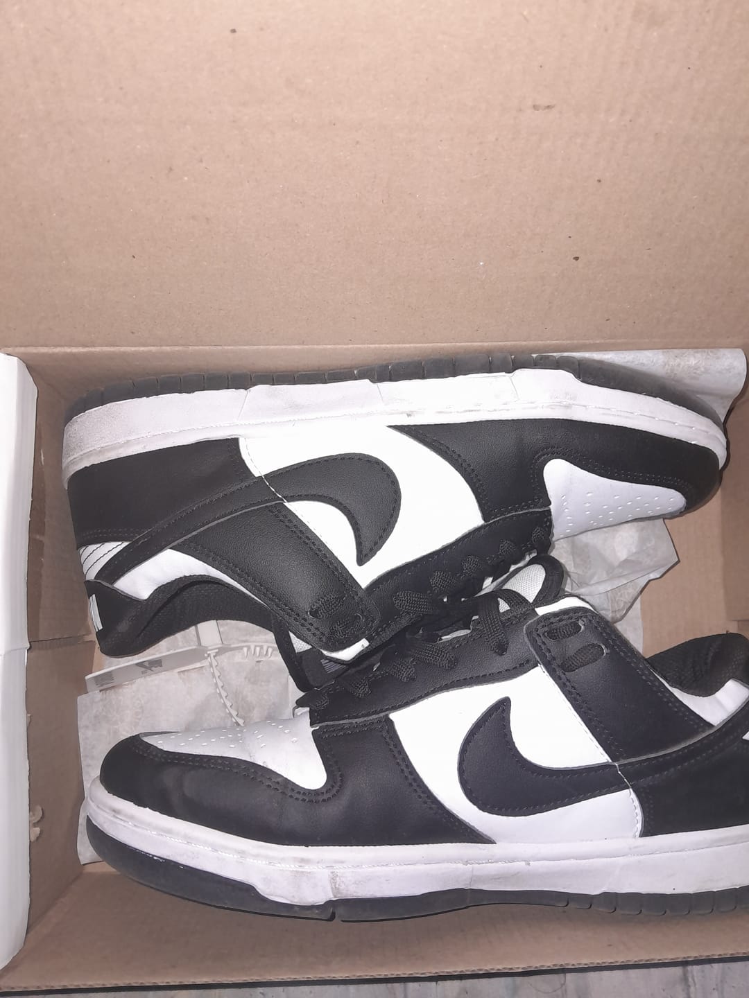 Customer photo review of Tenis Dunk Low Vaquita