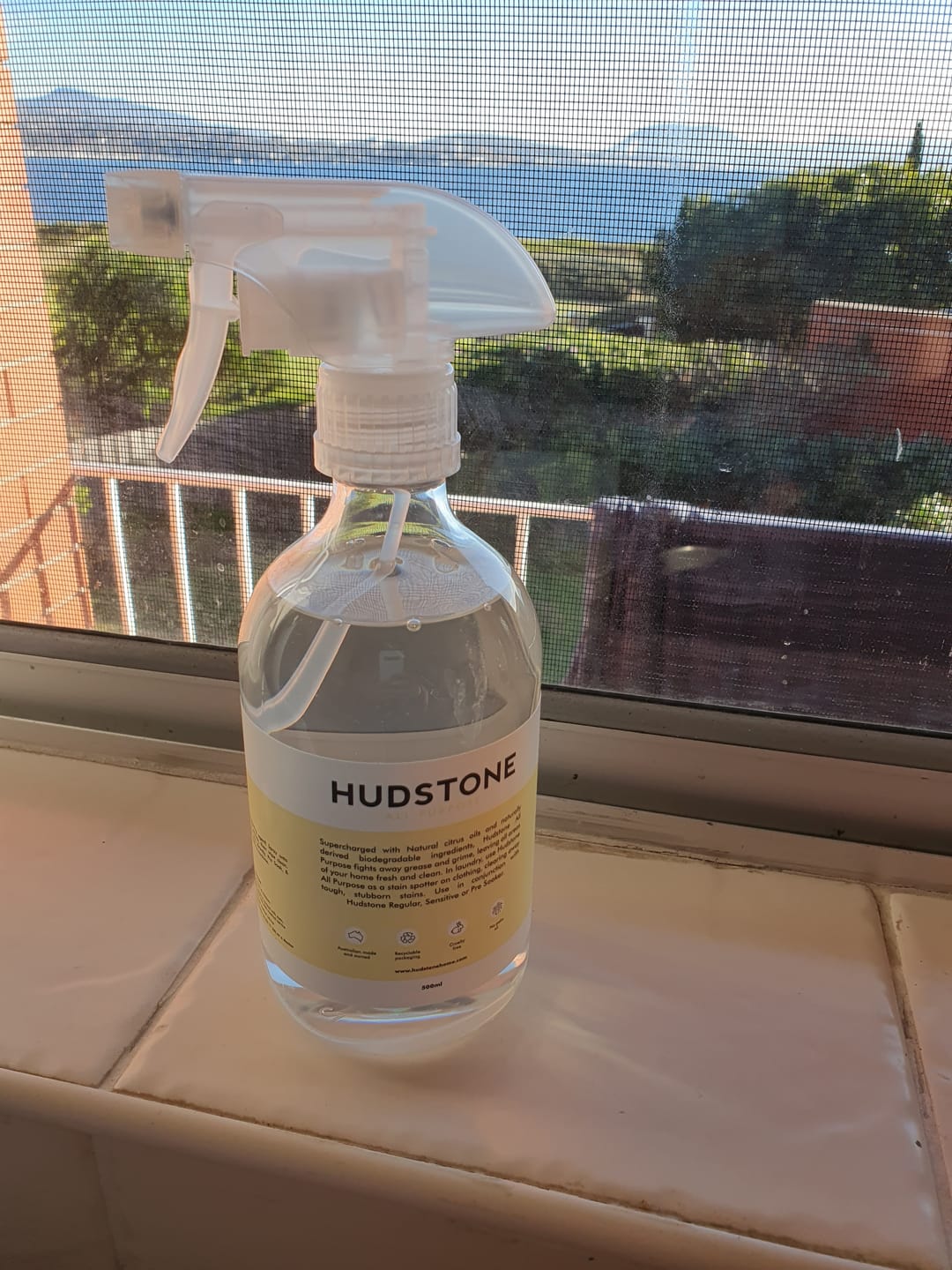 Customer photo review of All Purpose Spray Concentrate Refill (Makes 10 Bottles - $3.99 Per bottle) Fragrance Free