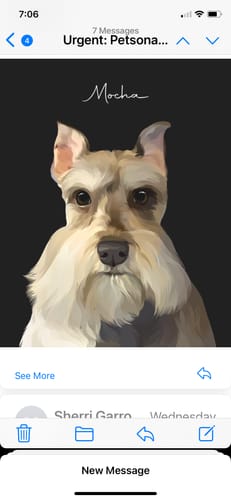 Customer photo review of Pet Art Canvas Wrap