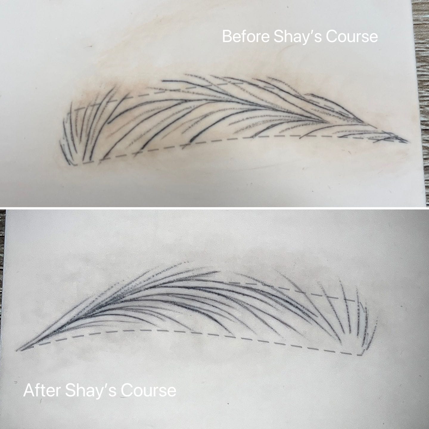 Customer photo review of Nano Kit and Double Course Bundle