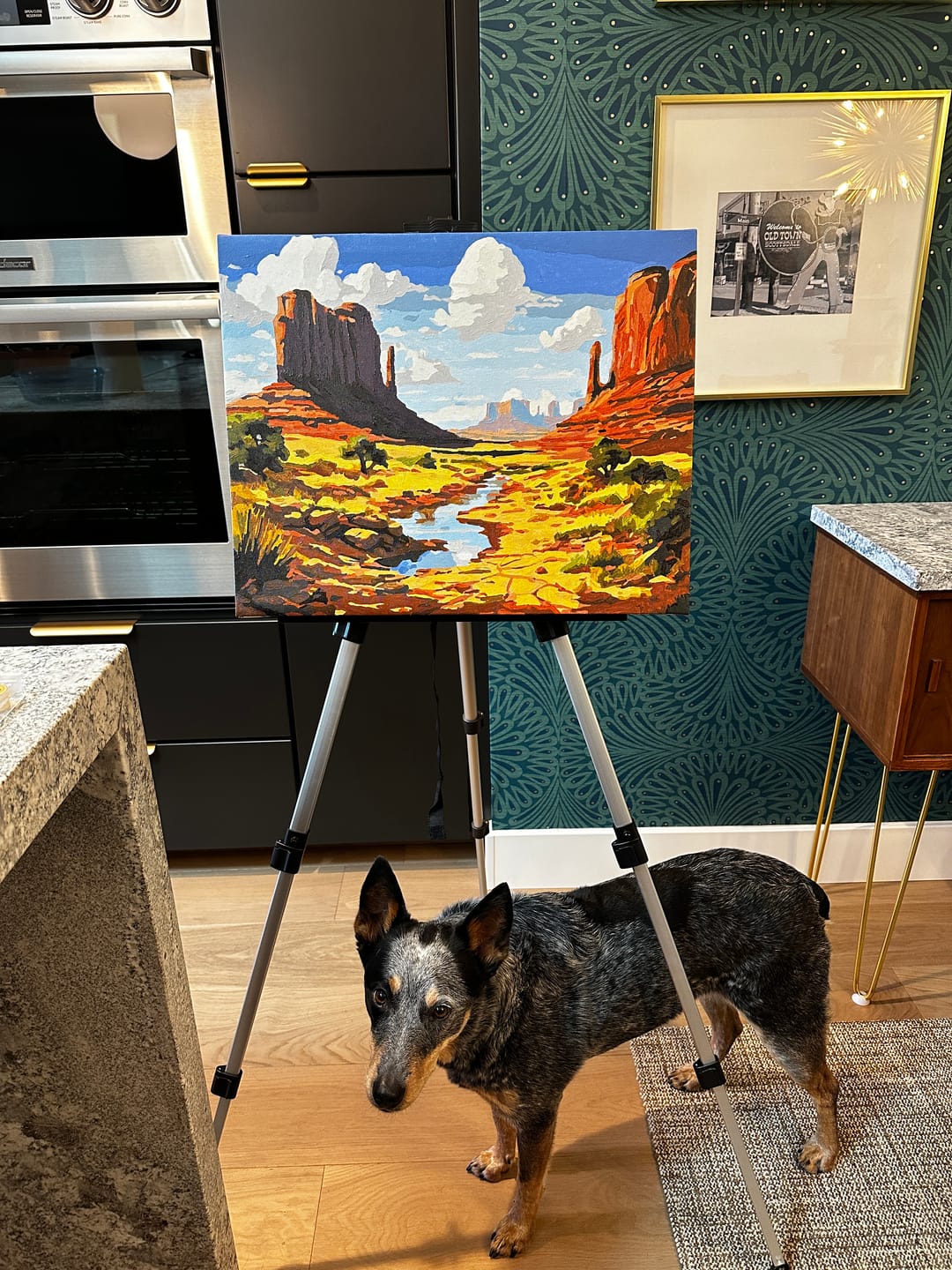 Customer photo review of Monument Valley Painting by Numbers