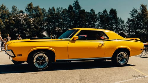 Customer photo review of Spring Value Bundle Lightroom Presets