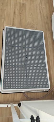 Customer photo review of Weasy Cão