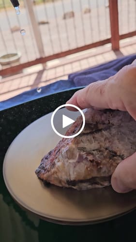 Customer video review of Covington 8 Inch Perfect Diamond Lapidary Maxi Lap