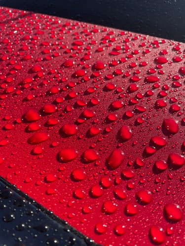 Customer photo review of Massive Hairy Ass Cloth