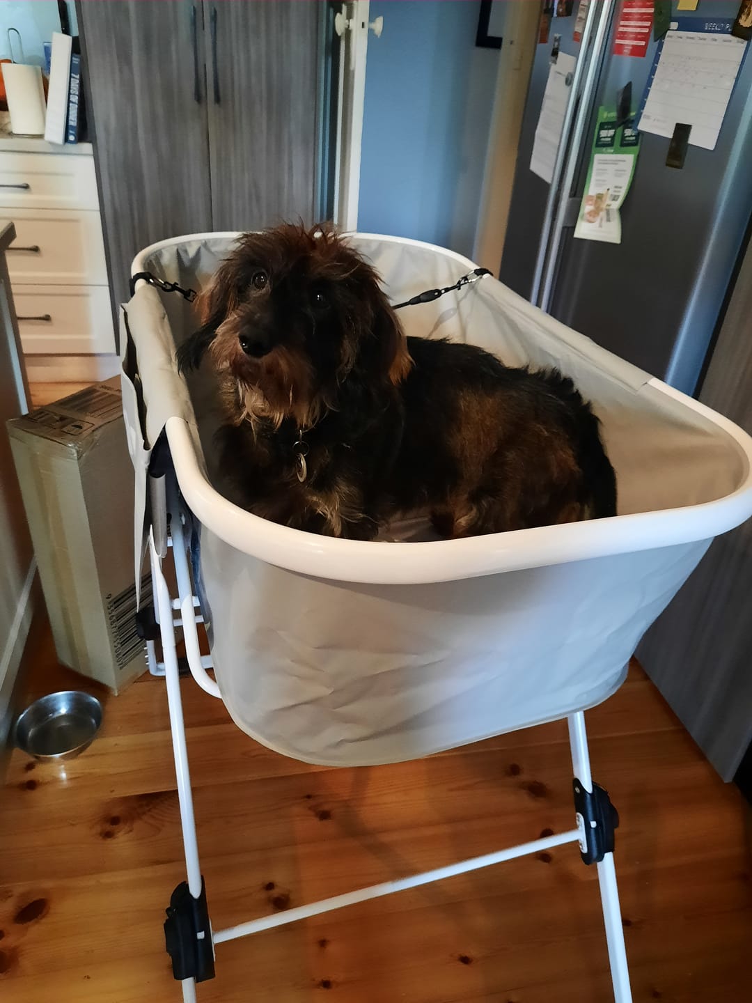 Customer photo review of PaWz Pet Bathtub Adjustable Height Folding Basin