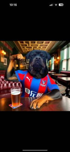 Customer photo review of Personalised Football Dog Art