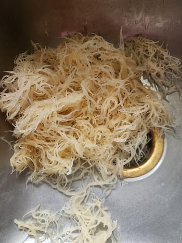 Customer photo review of PREMIUM GOLD WILDCRAFTED SEA MOSS (ONLY ON AMAZON)
