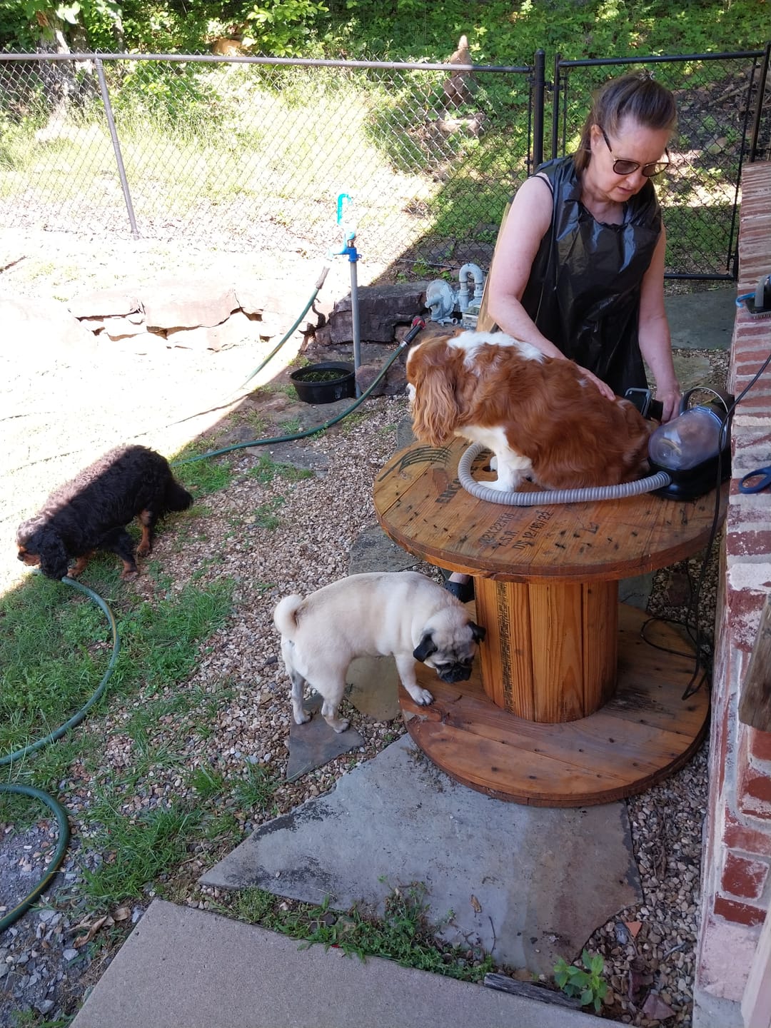 Customer photo review of Carrying Case for furMe Grooming Vacuum
