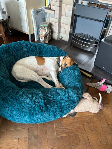 Customer photo review of Super Plush Donut Bed