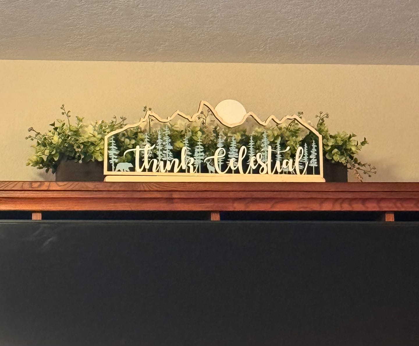 Customer photo review of Think Celestial Teton Mountains