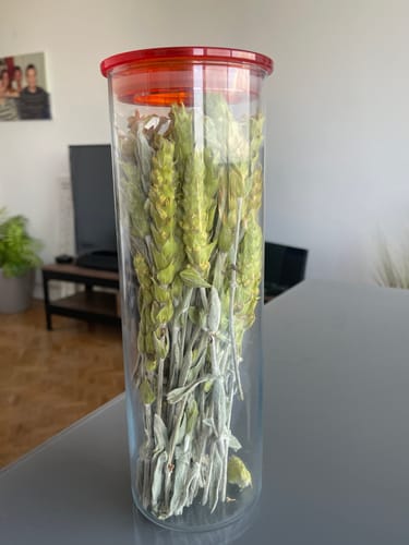 Customer photo review of Organic mountain tea whole stems - 50g