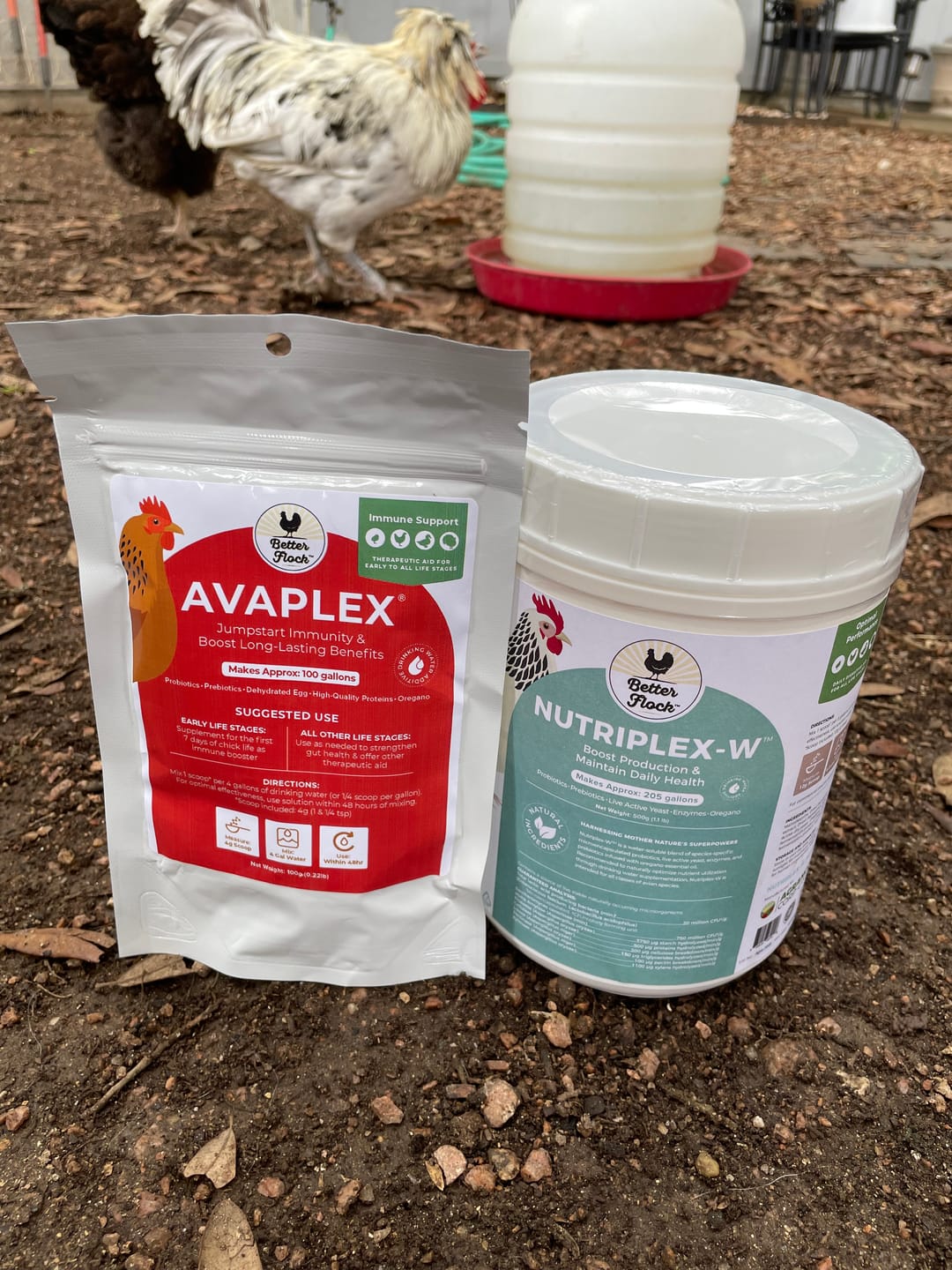 Customer photo review of Avaplex®: Natural Antibodies & Advanced Probiotic for Immune Support