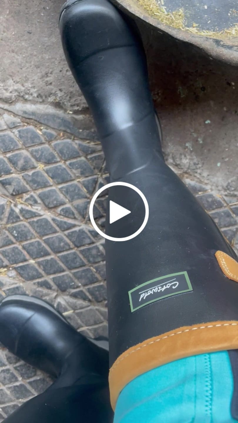 Customer video review of Stratus Wellingtons Black