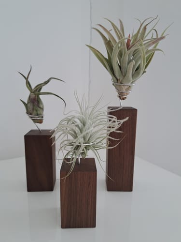 Customer photo review of Tilly Xylo -3er Set