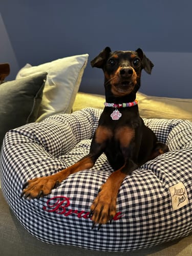 Customer photo review of Cuccia Tonda Cotone Vichy Navy