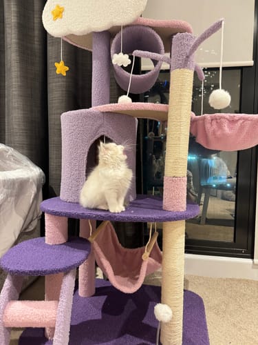 Customer photo review of Fantasy Series Climbing Frame Cat Tree - Dreamland (Height 165cm)