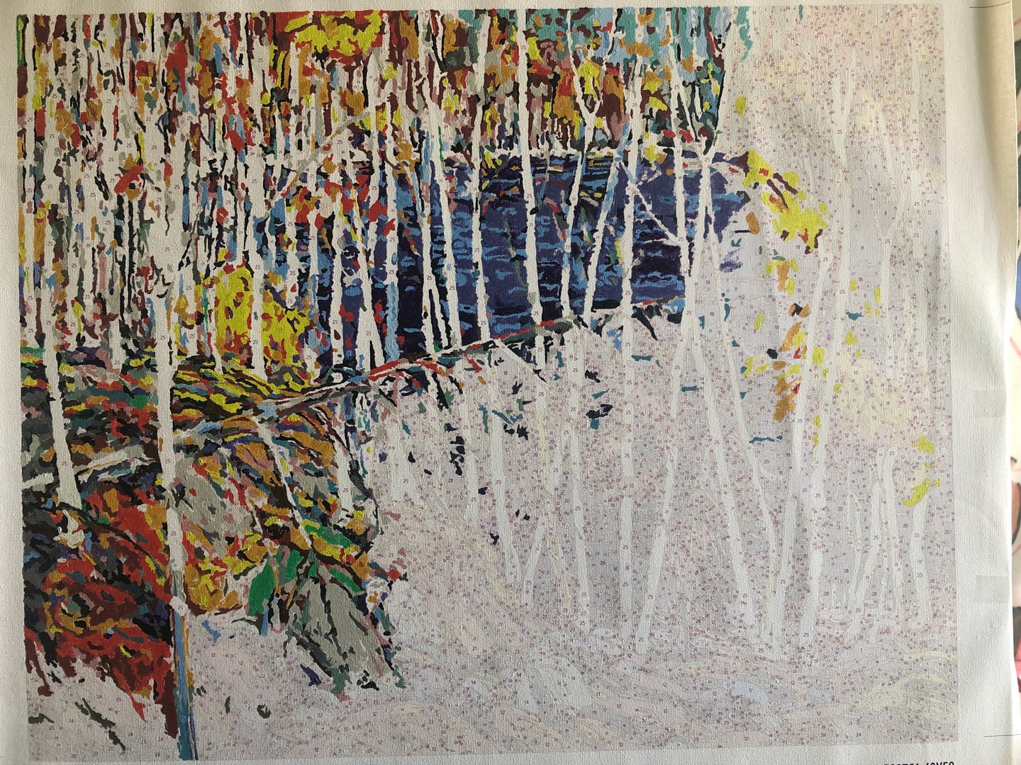 Customer photo review of In The Northland - Paint by Numbers